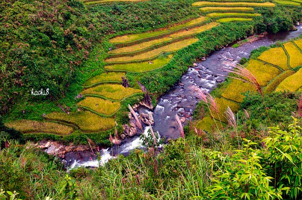 Những d&ograve;ng suối đẹp duy&ecirc;n d&aacute;ng ở T&acirc;y Bắc